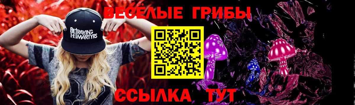 Галлюциногенные грибы мухоморы Нововоронеж