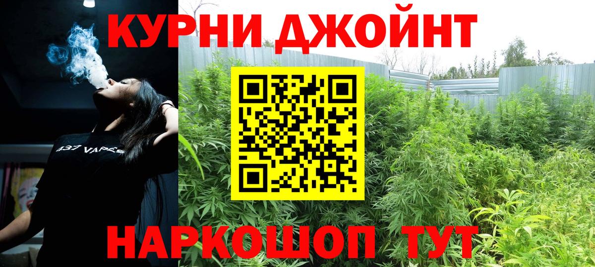 Бошки марихуана сатива Нововоронеж